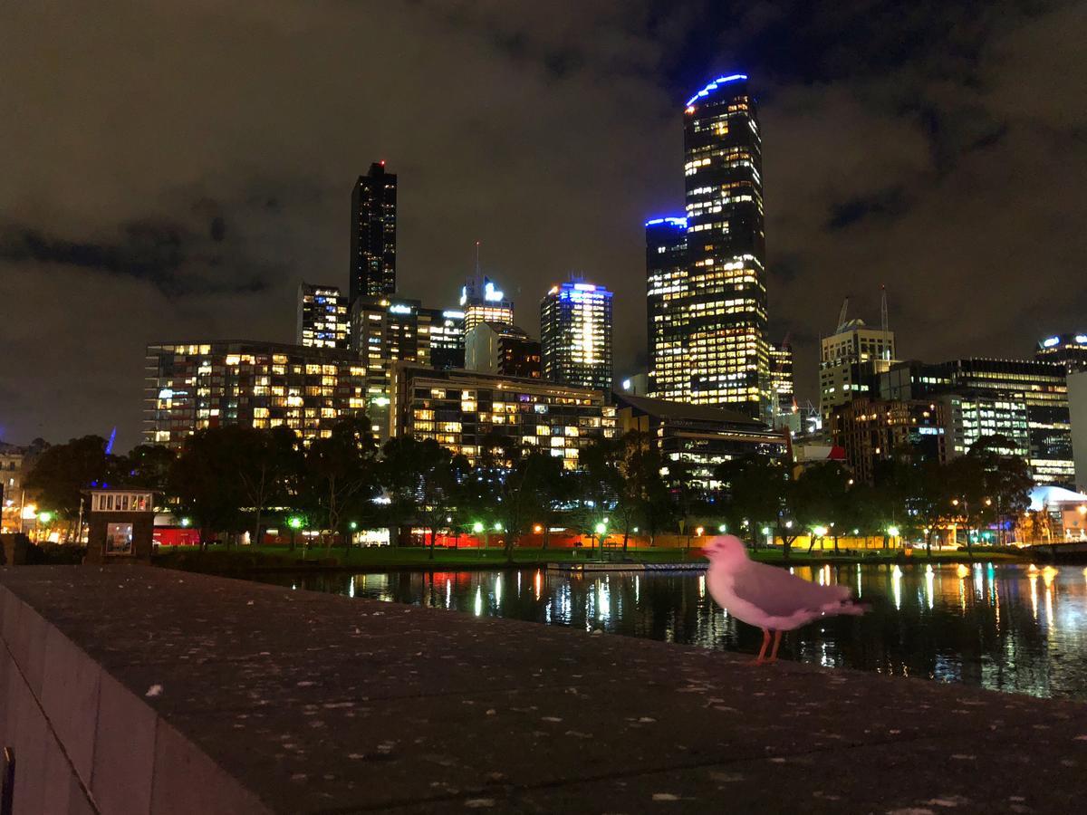 Апартаменты Melbourne River Views Экстерьер фото